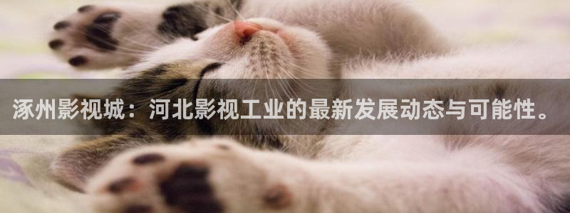 桔子日常生活视频