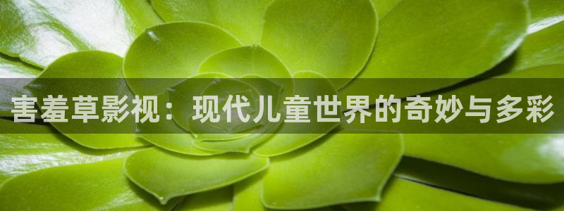 桔子传媒短视频