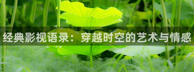桔子套袋的正确方法视频：经典影视语录：穿越时空的艺术与情感