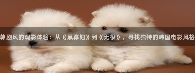 桔子 电影