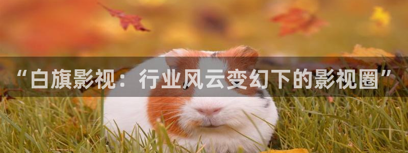 下载桔子视频：“白旗影视：行业风云变幻下的影视圈”