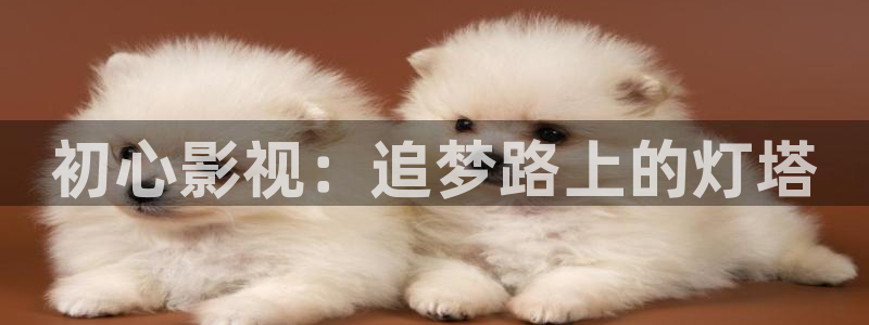 桔子影视怎么下载：初心影视：追梦路上的灯塔