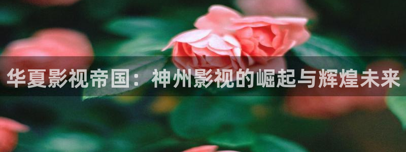 桔子 视频