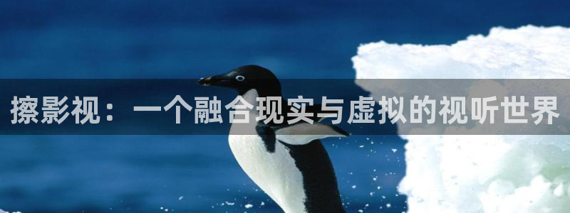 桔子视频.：擦影视：一个融合现实与虚拟的视听世界