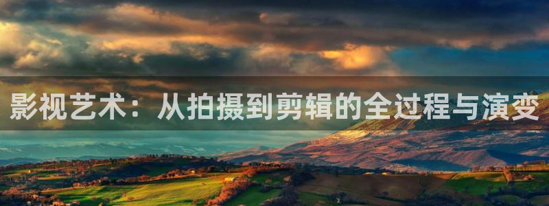 关于桔子视频在线观看