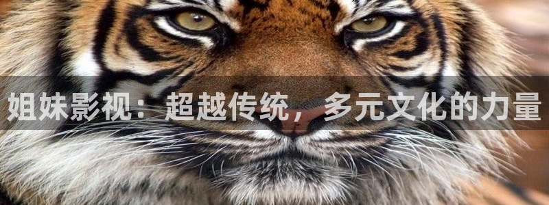 桔子影视在线：姐妹影视：超越传统，多元文化的力量