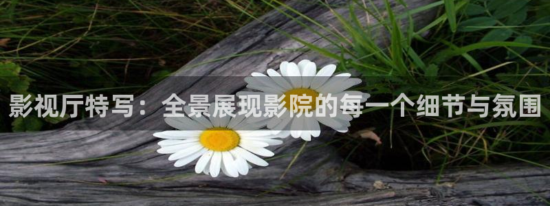 tv桔子：影视厅特写：全景展现影院的每一个细节与氛围
